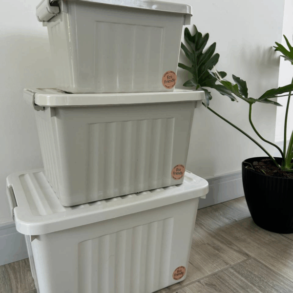 Set X 3 cajas línea eco friendly