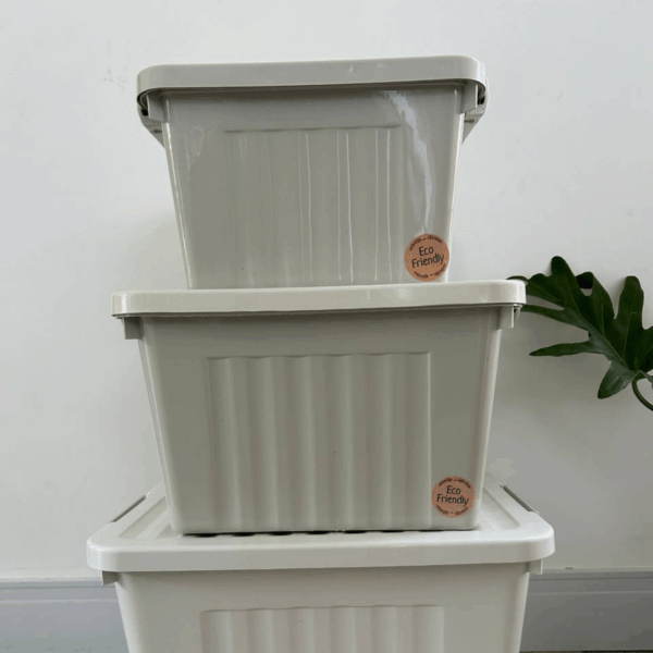 Set X 3 cajas línea eco friendly - Imagen 6