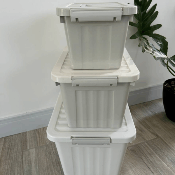 Set X 3 cajas línea eco friendly - Imagen 5