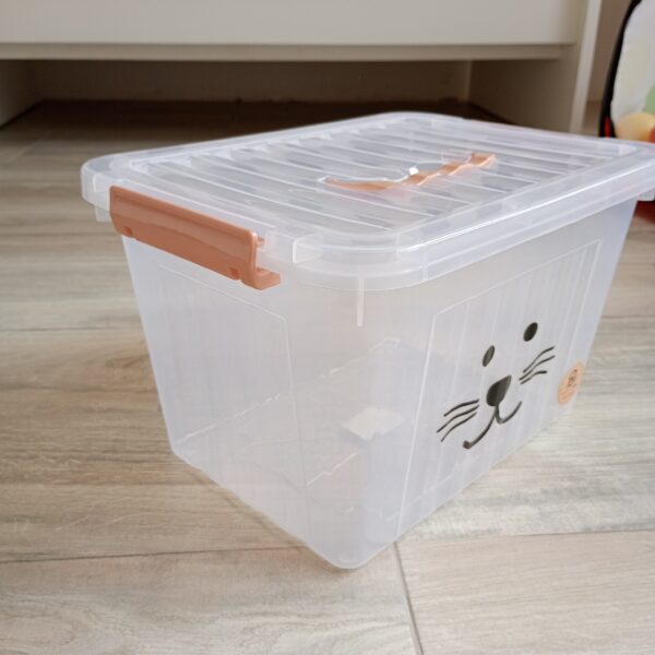 Set x 3 cajas organizadoras motivo infantil - Imagen 7