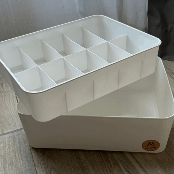 Caja organizadora Nova y 10 divisiones con tapa - Imagen 3