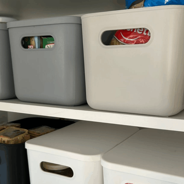 Caja moderna color #2 con tapa plástica