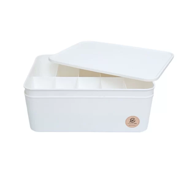 Caja organizadora Nova y 10 divisiones con tapa - Imagen 11